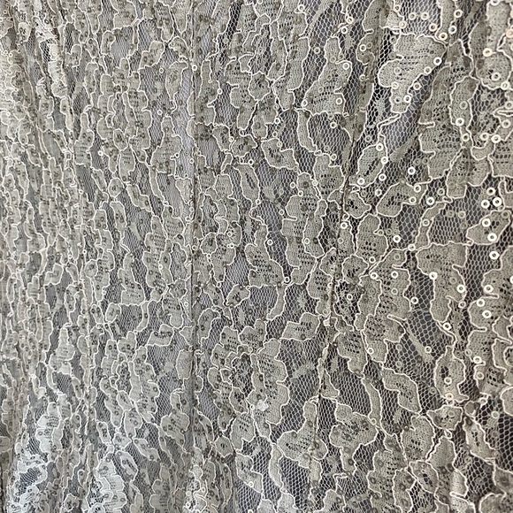 NWT Tea Length Silver Lace & Sequin Cocktail Dress - Picture 5 of 5
